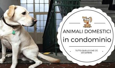 Animali domestici e condominio: regole e sanzioni